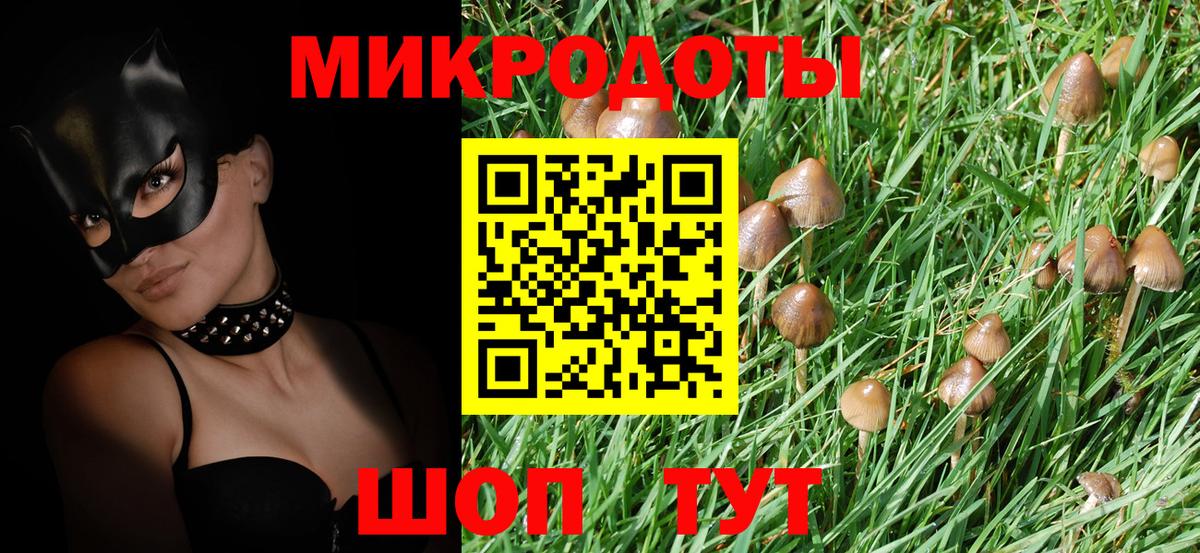 Елец  Галлюциногенные грибы Psilocybine cubensis  наркотики  Вход с VPN 