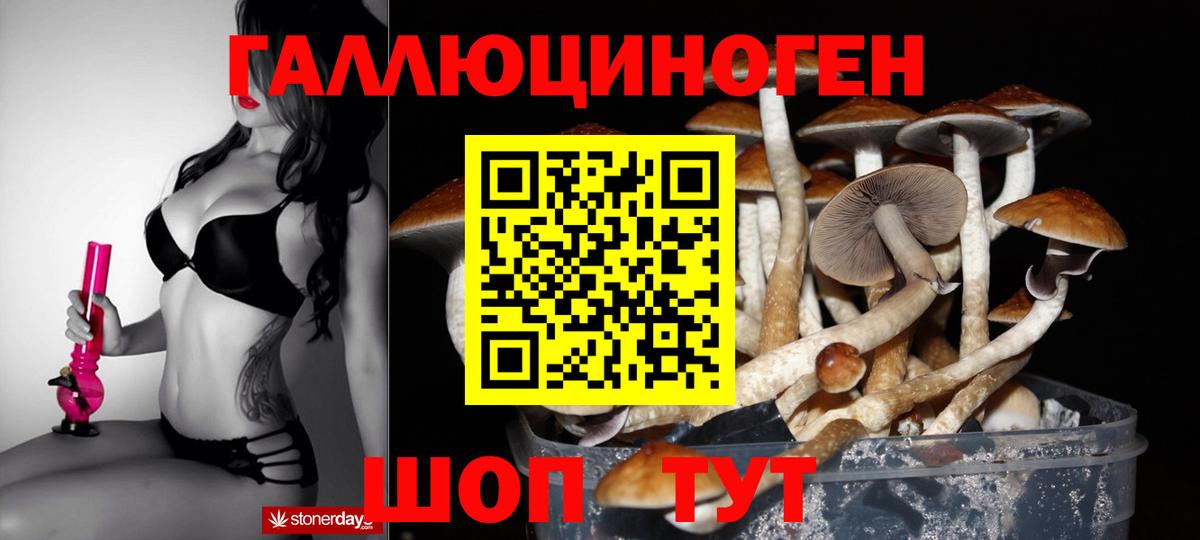 Галлюциногенные грибы мицелий Елец